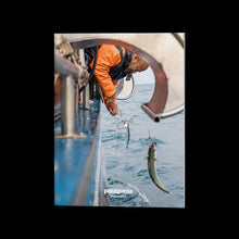 Load image into Gallery viewer, FALSE