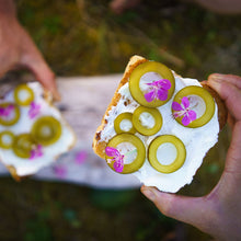 Load image into Gallery viewer, Barnacle Foods Dill Kelp Pickles
