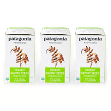 Load image into Gallery viewer, Organic Chipotle Lime Savory Seeds - 12 Pack
